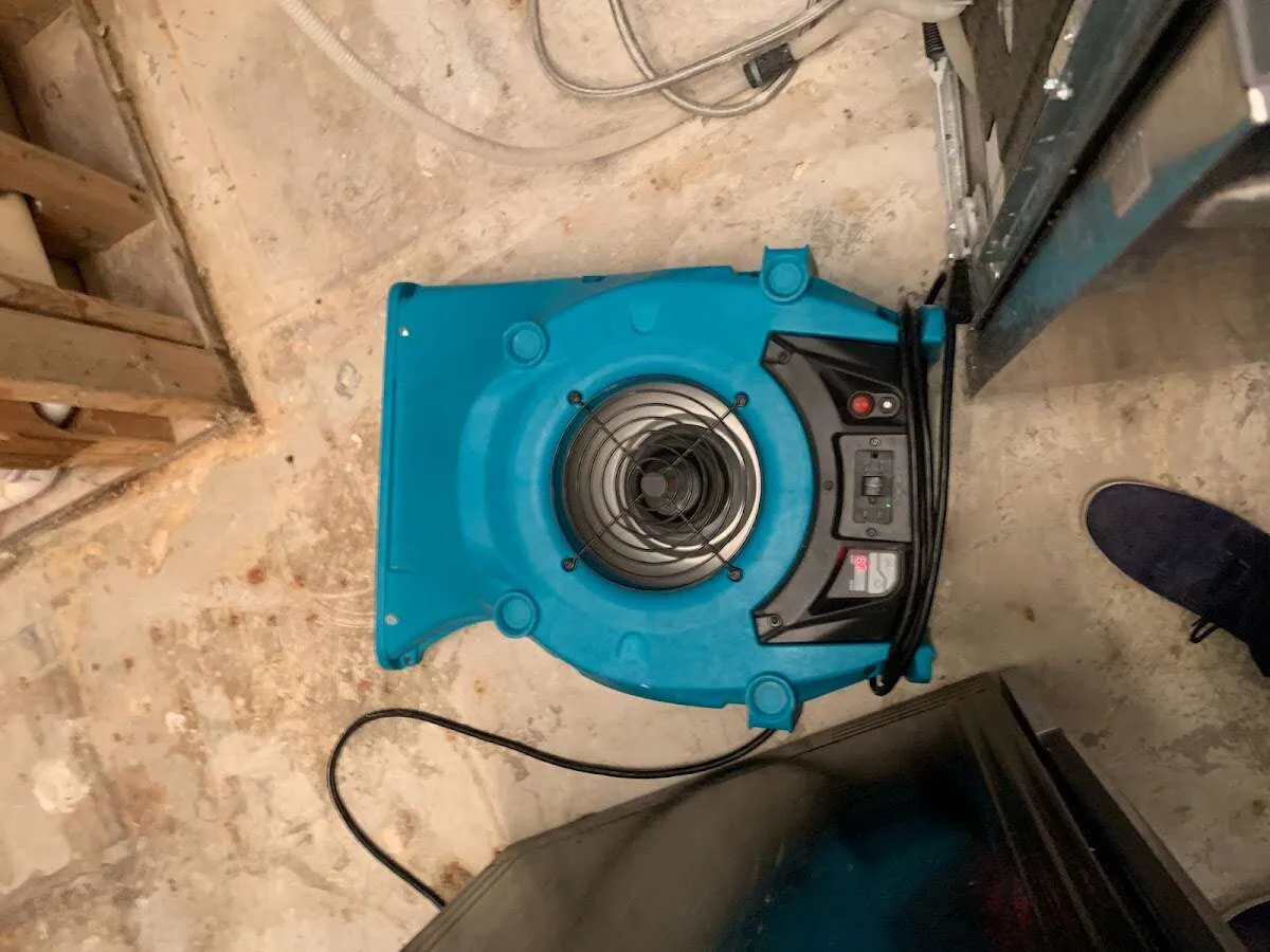 Air mover drying equipment for Mold Remediation & Removal in Elizabeth