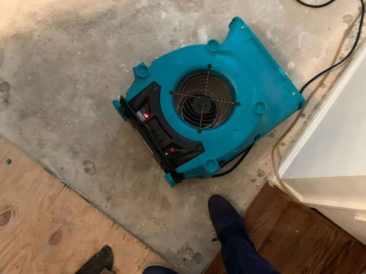 Air mover drying subfloor during Leak Detection & Repair in Elizabeth